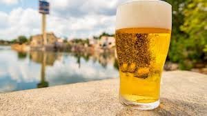 temp_image_1779538222.700384 Beat the Heat at SeaWorld Orlando: Free Beer and Summer Thrills!