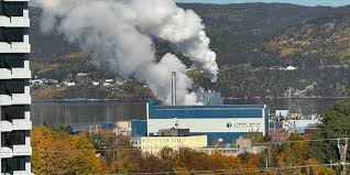 temp_image_1779631828.037813 cbc news nl: Your Ultimate Guide to Staying Informed in Newfoundland and Labrador