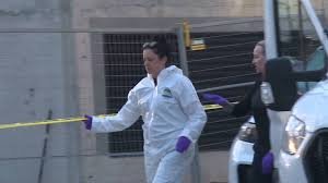 temp_image_1779748205.52037 Tragic Discovery in Halifax: Couple Charged After Newborn’s Remains Found in Nova Scotia Woods
