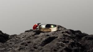 temp_image_1779975109.172318 Oura Ring 5: Is the Next Generation of Smart Rings Worth the Hype?