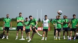 temp_image_1779992544.022884 Ireland vs Qatar: Hallgrimsson Prioritizes Experience in Aviva Stadium Clash
