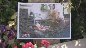 temp_image_1779993970.658524 Tragedy in Vancouver's West End: Senior Dies Following Dangerous Vehicle Rampage