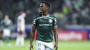 temp_image_1780009541.402186 Palmeiras vs. Junior Barranquilla: The Final Push in the Copa Libertadores Group Stage