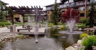 temp_image_1780037321.048838 Kelowna Weather: Your Ultimate Guide to the Okanagan Valley Climate