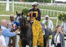 temp_image_1780093992.286358 Preakness Champion Napoleon Solo Sold: New Ownership and Bold Plans for the Haskell Stakes