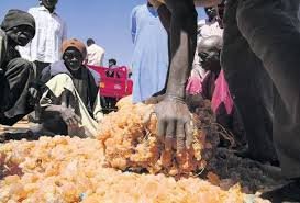 temp_image_1780369882.970707 The Bitter Price of Sweetness: How Gum Arabic Smuggling Fuels Sudan's Civil War