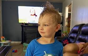 temp_image_1780433757.20913 Urgent: Amber Alert Issued for Missing 3-Year-Old in Clarksville, TN
