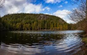 temp_image_1780470271.457482 Tragedy at Browning Lake: Two Paddleboarders Found Deceased in Murrin Provincial Park