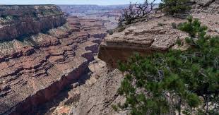 temp_image_1780923169.091525 Grand Canyon Hiking Safety: The Tragic Warning of the Bright Angel Trail