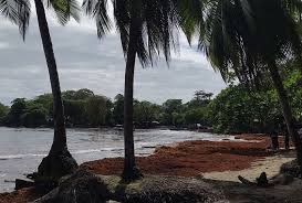 temp_image_1780973853.379546 Costa Rica: The Ultimate Guide to the Land of Pura Vida