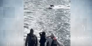 temp_image_1781064519.751627 Dangerous Wake Jumping: Why Staying Clear of BC Ferries is Critical for Marine Safety