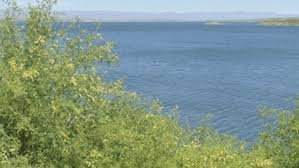 temp_image_1781133279.382632 San Carlos Lake Closed: Massive Fish Kill Sparks Environmental Alarm