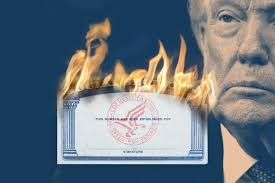 temp_image_1781135778.314539 Social Security Trust Fund Projection: Is Your Retirement Future Secure?
