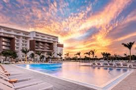 temp_image_1781459497.28651 Aruba Paradise: A Complete Guide to the Best Dog-Friendly Stay and Adventures