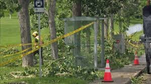 temp_image_1781738158.86269 Severe Weather Hits Canadian Prairies: From Alberta's Downbursts to Saskatoon Weather Alerts