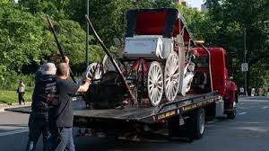 temp_image_1781767693.698288 Tragedy in Central Park: Fatal Carriage Accident Sparks Outcry for Safety Reform