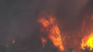 temp_image_1782082444.452439 Miami Weather Alert: Wildfires Surge in Miami-Dade County—Stay Safe and Informed