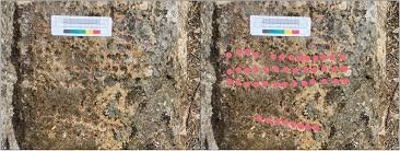 temp_image_1782347315.145659 Unlocking the Past: The Fascinating Medieval Morocco Game Found in an Ancient Bathhouse