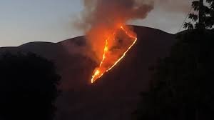 temp_image_1782368624.213328 San Jose Fire: Emergency Crews Battle Vegetation Blaze in Eastern Foothills