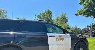 temp_image_1782434387.672335 Understanding the Ontario Provincial Police (OPP): Ensuring Safety and Security Across the Province