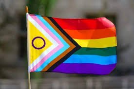 temp_image_1782452865.596106 Iran vs Egypt: FIFA Sparks Controversy Over Rainbow Flags at Seattle World Cup Match