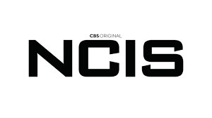 temp_image_1782466703.317922 The Evolution of the Navy Franchise: NCIS Origins, the NIS Rebrand, and the Arrival of NCIS: New York