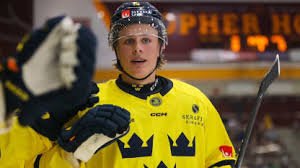 temp_image_1782513813.237064 Ivar Stenberg: The Rising Star Projected as the Top Pick for the 2026 NHL Draft