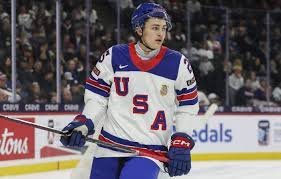 temp_image_1782519217.864599 The 2026 NHL Draft: Will the Vancouver Canucks Bet Big on Caleb Malhotra?
