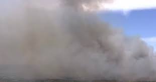 temp_image_1782573222.591133 Fire Restoration in Action: How Prescribed Burns Protect Alachua County’s Natural Beauty