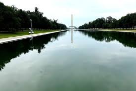 temp_image_1782824573.466545 High-Tech or Political Gambit? The Truth Behind Trump's $1.7M Lincoln Memorial Nanobubbler