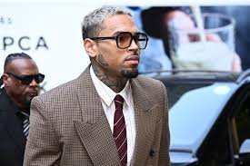 temp_image_1782878991.855393 Chris Brown Lawsuit: Singer Ordered to Pay $13 Million After Housekeeper Mauled by 200-lb Guard Dog