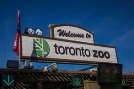 temp_image_1782943329.989624 Toronto Zoo Shuts Down Early on Canada Day Due to Unexpected Power Outage
