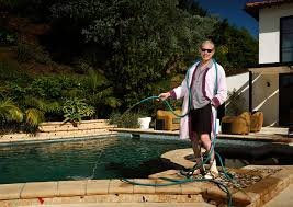 temp_image_1783046068.467607 Inside Jeff Goldblum's Eclectic West Hollywood Sanctuary: Style, Art, and Romance