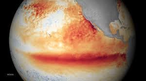 temp_image_1783080429.101785 El Niño Explained: How This Powerful Climate Phenomenon Impacts the World and Canada