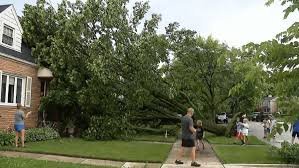temp_image_1783233946.119074 Severe Storms and Flood Warnings Disrupt Fourth of July Festivities in Chicago