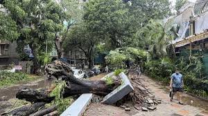 temp_image_1783329642.597421 Monsoon Mayhem: Flight Status Alerts and Travel Chaos Grip Mumbai and Pune