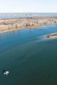 temp_image_1783336917.909487 Unearthing History: 1,200-Year-Old Indigenous Fish Trap Discovered in the St. Lawrence River