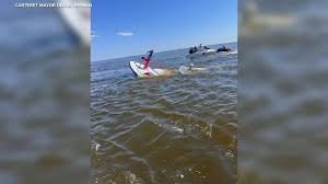 temp_image_1783408019.81819 Dramatic New Jersey Fireboat Whale Collision: Crew Rescued in Raritan Bay