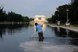 temp_image_1783413468.857016 The Lincoln Memorial Reflecting Pool Controversy: No-Bid Contracts and Algae Struggles