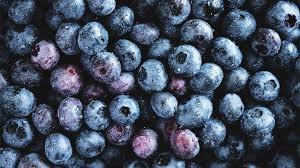 temp_image_1783426999.255814 Publix Organic Blueberry Recall: Urgent Health Warning for GreenWise IQF Blueberries