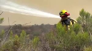 temp_image_1783461553.317368 Encino Fire: LAFD Battles Brush Fire in San Fernando Valley; Evacuation Warnings Issued