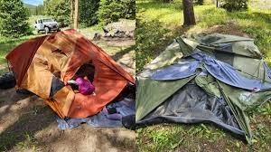 temp_image_1783841850.566057 Terrifying Encounter: Two Women Survive Black Bear Attacks in Wyoming's Big Horn Mountains