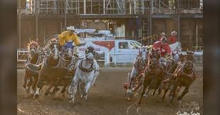 temp_image_1783917905.30476 Rangeland Derby 2026: Experience the Heart-Pounding Action of the Canadian Prairies