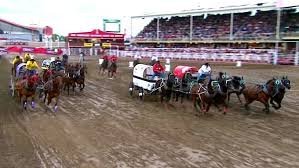 temp_image_1783925823.012181 The Heart-Pounding Thrill of Chuckwagon Races: A Canadian Tradition