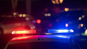 temp_image_1783964149.425798 Tragedy at Parc du Sommet: Body Recovered in Thetford Mines