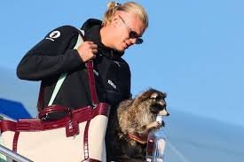 temp_image_1783981256.724213 Erling Haaland Raccoon Meme: Why the Internet is Obsessed with This Viral Comparison