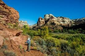 temp_image_1783990289.017232 Trump Utah Monuments: The Controversy Behind the Size Reduction