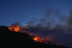 temp_image_1783992516.888063 British Columbia Wildfire Map 2026: Stay Safe and Informed in Real-Time