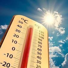 temp_image_1784023574.420983 Toronto Heatwave: Will Environment Canada Record a New All-Time High?