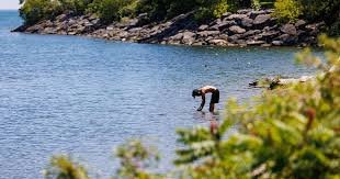 temp_image_1784066618.798456 Understanding the Humidex: Why Canadian Summers Feel So Much Hotter